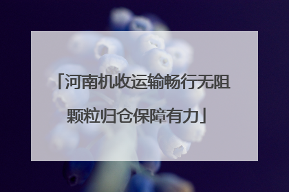 河南机收运输畅行无阻 颗粒归仓保障有力