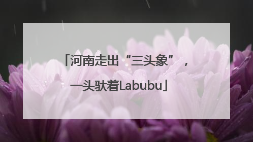 河南走出“三头象”，一头驮着Labubu
