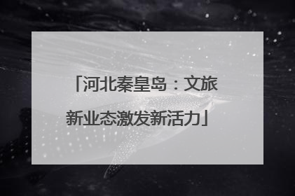 河北秦皇岛：文旅新业态激发新活力