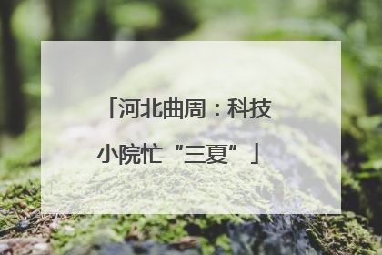 河北曲周：科技小院忙“三夏”