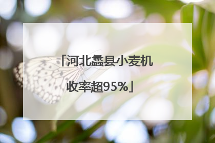 河北蠡县小麦机收率超95%