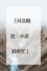 河北隆尧：小麦抢收忙