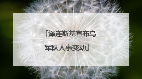 泽连斯基宣布乌军队人事变动