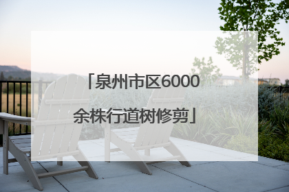 泉州市区6000余株行道树修剪