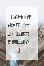 泉州市鲤城区电子信息产业链党委揭牌成立