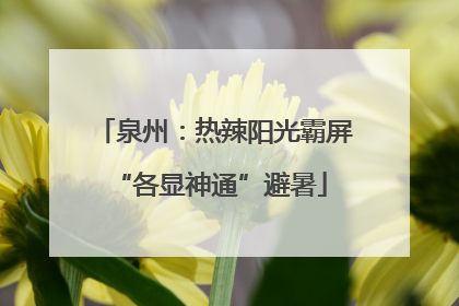 泉州：热辣阳光霸屏 “各显神通”避暑