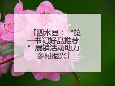 泗水县：“第一书记好品推荐”展销活动助力乡村振兴