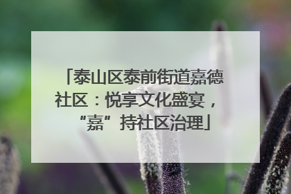 泰山区泰前街道嘉德社区：悦享文化盛宴，“嘉”持社区治理