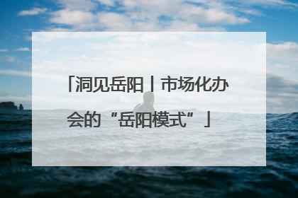 洞见岳阳丨市场化办会的“岳阳模式”