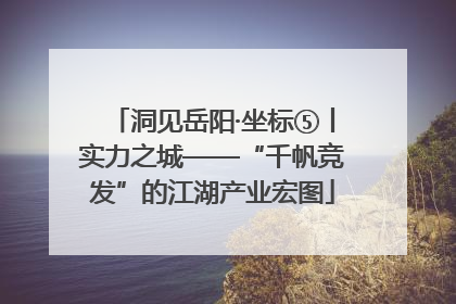 洞见岳阳·坐标⑤丨实力之城——“千帆竞发”的江湖产业宏图