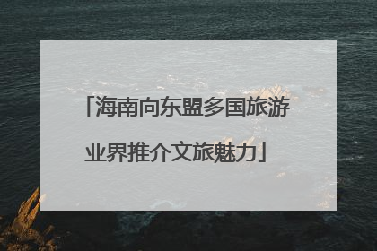 海南向东盟多国旅游业界推介文旅魅力