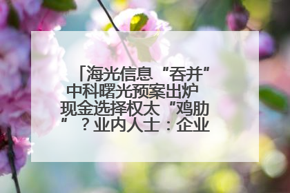 海光信息“吞并”中科曙光预案出炉 现金选择权太“鸡肋”？业内人士：企业不想大量现金流出