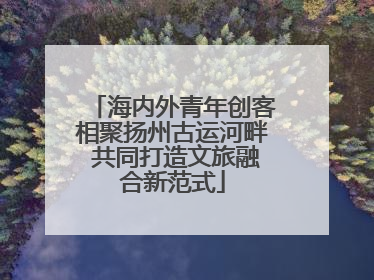 海内外青年创客相聚扬州古运河畔 共同打造文旅融合新范式