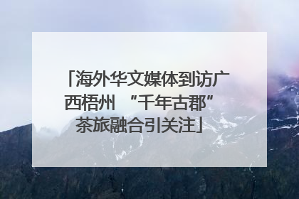 海外华文媒体到访广西梧州 “千年古郡”茶旅融合引关注