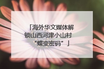 海外华文媒体解锁山西河津小山村“蝶变密码”