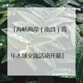 海峡两岸（南昌）青年木球交流活动开幕