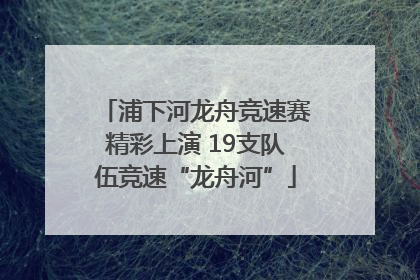 浦下河龙舟竞速赛精彩上演 19支队伍竞速“龙舟河”