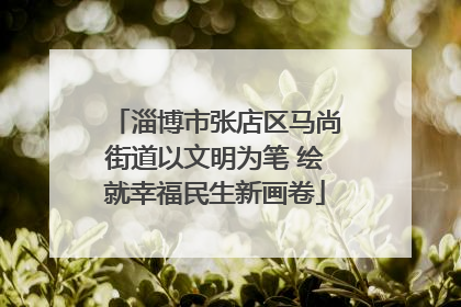淄博市张店区马尚街道以文明为笔 绘就幸福民生新画卷