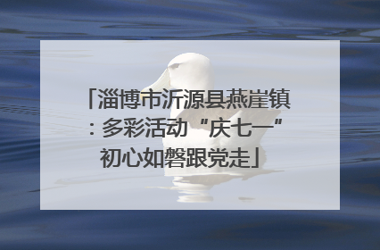 淄博市沂源县燕崖镇：多彩活动“庆七一” 初心如磐跟党走