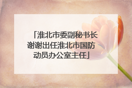 淮北市委副秘书长谢谢出任淮北市国防动员办公室主任