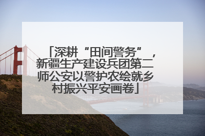 深耕“田间警务”，新疆生产建设兵团第二师公安以警护农绘就乡村振兴平安画卷