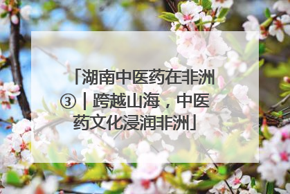 湖南中医药在非洲③｜跨越山海，中医药文化浸润非洲