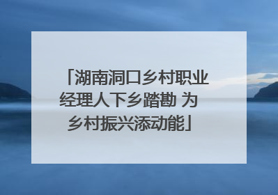 湖南洞口乡村职业经理人下乡踏勘 为乡村振兴添动能