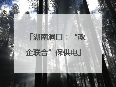 湖南洞口：“政企联合”保供电