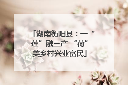 湖南衡阳县：一“莲”融三产 “荷”美乡村兴业富民