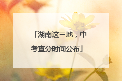 湖南这三地，中考查分时间公布
