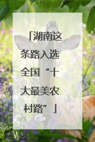 湖南这条路入选全国“十大最美农村路”