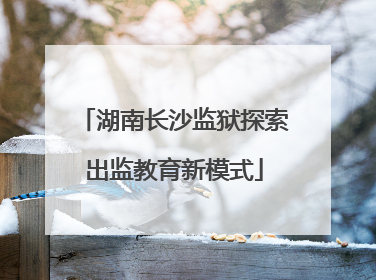 湖南长沙监狱探索出监教育新模式