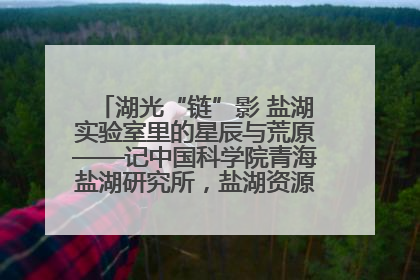 湖光“链”影 盐湖实验室里的星辰与荒原——记中国科学院青海盐湖研究所，盐湖资源化学实验室党总支书记、副主任刘忠