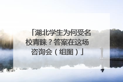 湖北学生为何受名校青睐？答案在这场咨询会（组图）