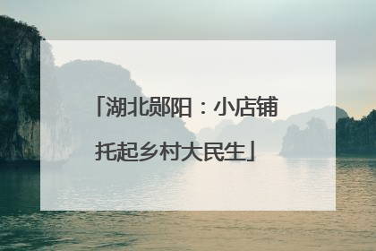 湖北郧阳：小店铺托起乡村大民生