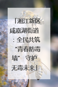 湘江新区咸嘉湖街道：全民共筑“青春防毒墙” 守护无毒未来