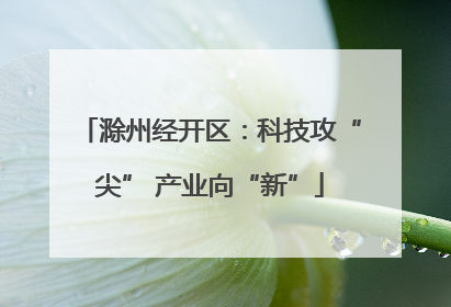 滁州经开区：科技攻“尖” 产业向“新”