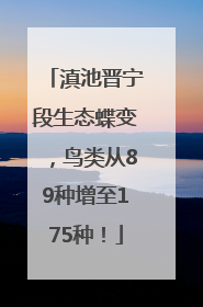 滇池晋宁段生态蝶变，鸟类从89种增至175种！