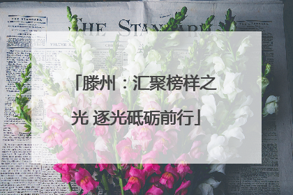 滕州：汇聚榜样之光 逐光砥砺前行