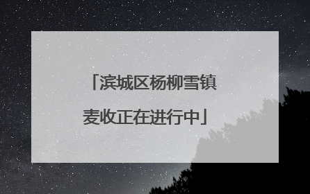 滨城区杨柳雪镇麦收正在进行中