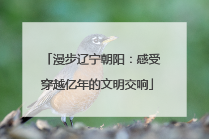 漫步辽宁朝阳：感受穿越亿年的文明交响