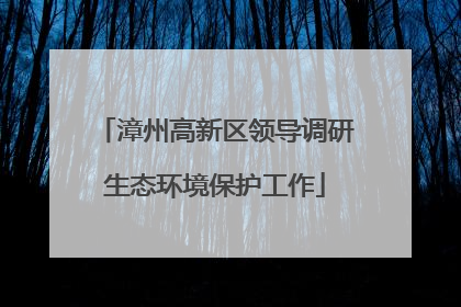 漳州高新区领导调研生态环境保护工作