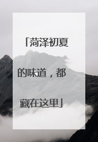 菏泽初夏的味道，都藏在这里