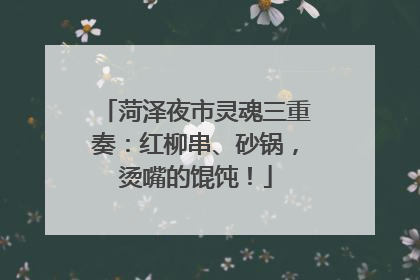 菏泽夜市灵魂三重奏：红柳串、砂锅，烫嘴的馄饨！