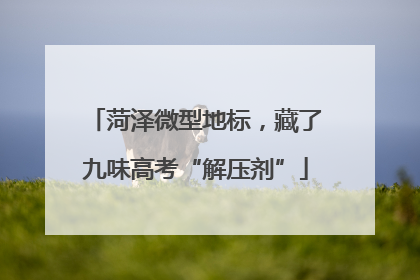 菏泽微型地标，藏了九味高考“解压剂”