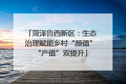 菏泽鲁西新区：生态治理赋能乡村“颜值”“产值”双提升