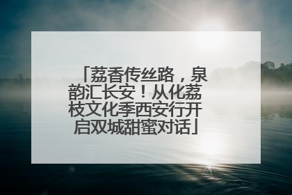 荔香传丝路，泉韵汇长安！从化荔枝文化季西安行开启双城甜蜜对话