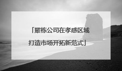 耀栋公司在孝感区域打造市场开拓新范式