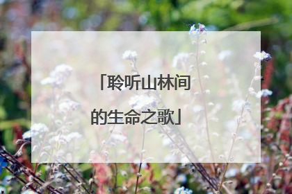 聆听山林间的生命之歌