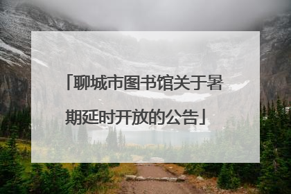 聊城市图书馆关于暑期延时开放的公告